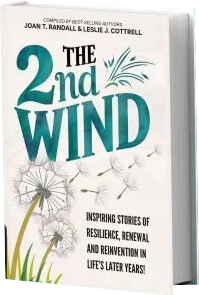 product thumbnail 600x300 0003 the 2nd wind